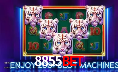 8855bet Cassino Ao Vivo - 89 Mesas Evolution Gaming